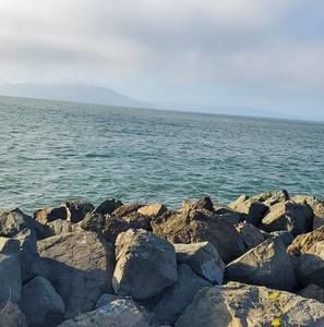 Meet your Posher, Vilma